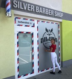 Barber Silver